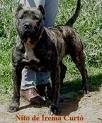 foto de PRESA CANARIO